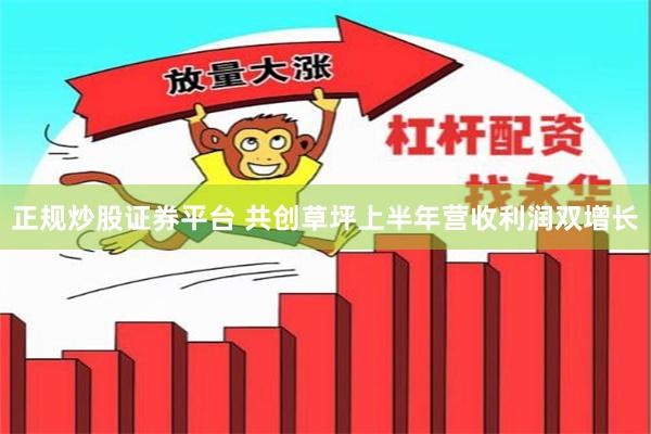 正规炒股证券平台 共创草坪上半年营收利润双增长